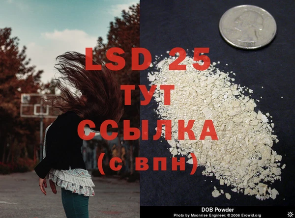 гидропоника Осинники