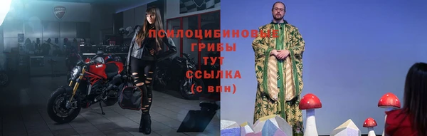 гидропоника Осинники