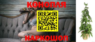 СК Бийск