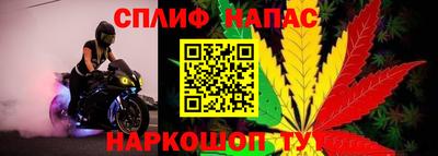 СК Бийск