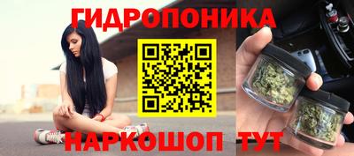 PSILOCYBIN Балахна