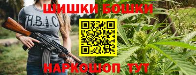 СК Бийск