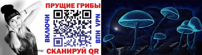 Галлюциногенные грибы GOLDEN TEACHER  купить закладку  Богородск 