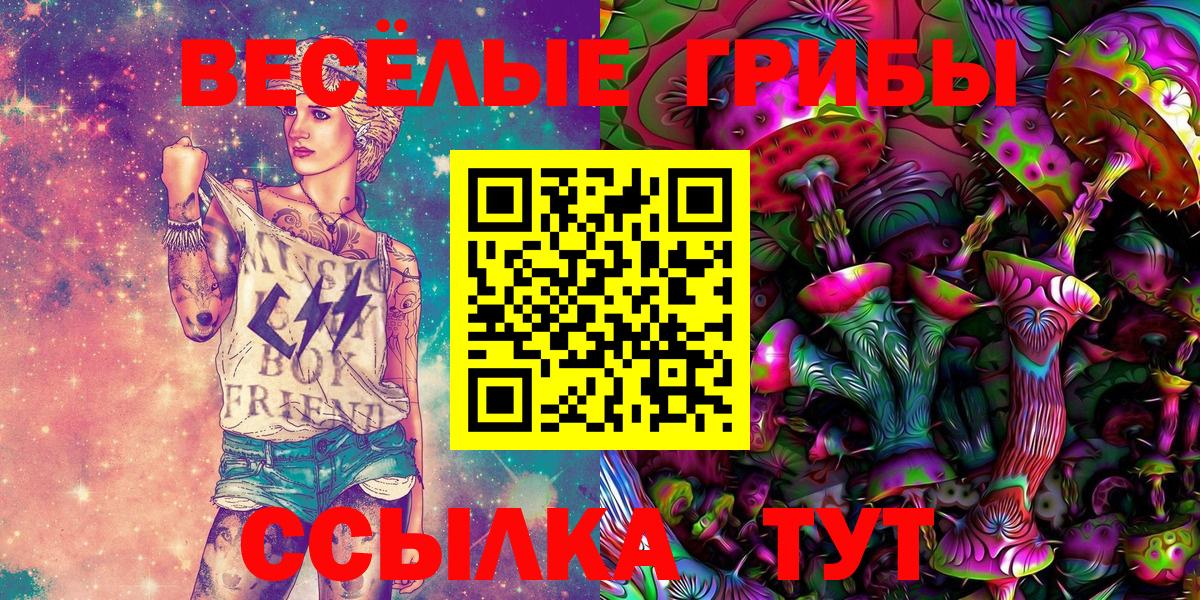 Псилоцибиновые грибы Psilocybine cubensis Богородск