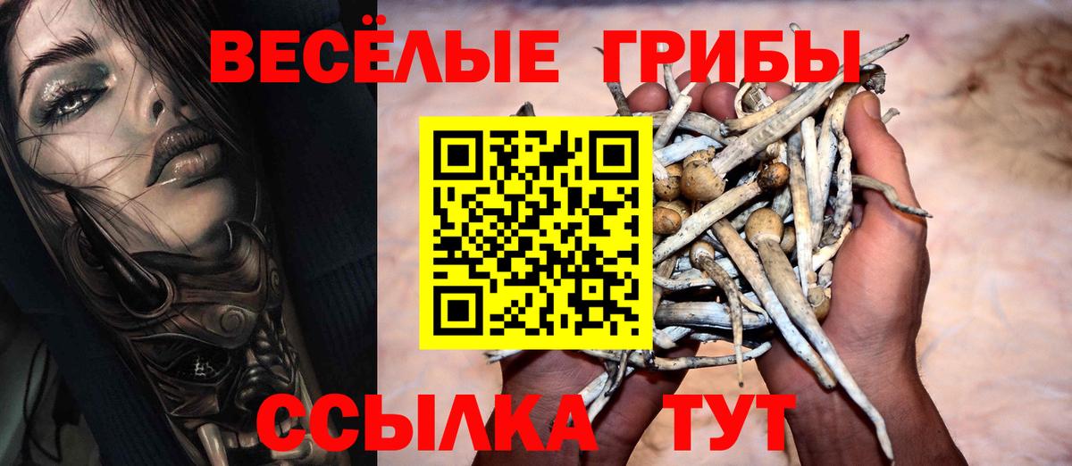 Псилоцибиновые грибы мицелий  Богородск 