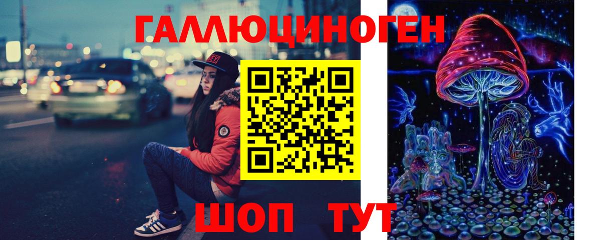 Галлюциногенные грибы Psilocybe  Вход с VPN  Богородск  Галлюциногенные грибы прущие грибы 